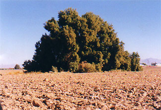 Photo from the immigrant workers investigation