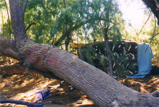 Photo from the immigrant workers investigation