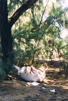Photo from the immigrant workers investigation