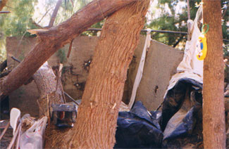 Photo from the immigrant workers investigation